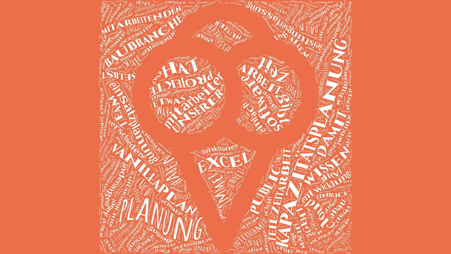 Vanillaplan Wordcloud