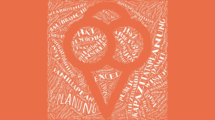 Vanillaplan Wordcloud